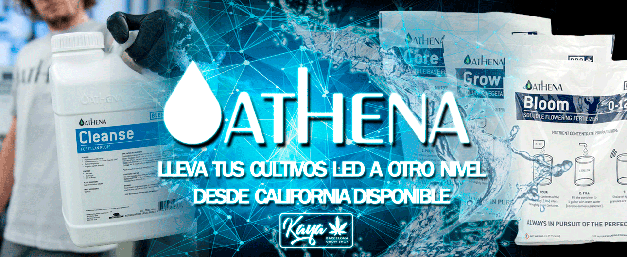 Buy Athena nutrients Barcelona